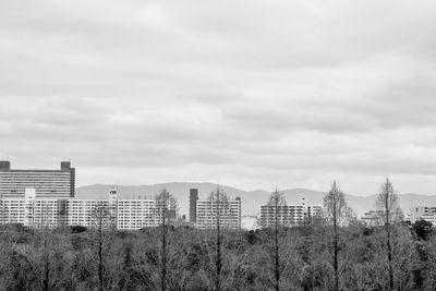 Buildings against sky in city