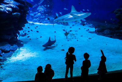 Rear view of silhouette children looking at sharks at coral world underwater observatory