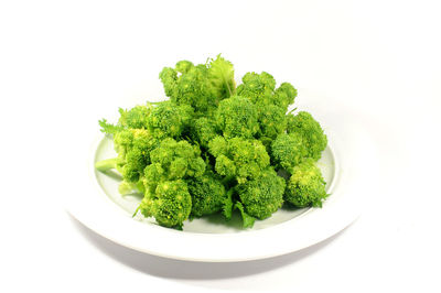 High angle view of vegetables in bowl against white background