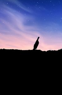 Silhouette person standing on landscape against sky at night