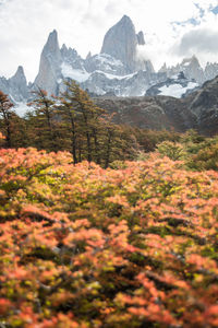 Scenic view of snowcapped mountains against sky in autumn