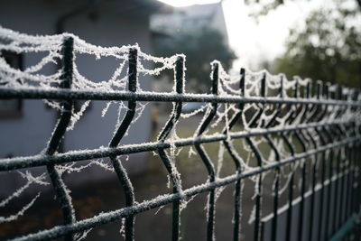 Close-up of barbed wire fence during winter