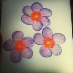 Close-up of flowering plant against white background