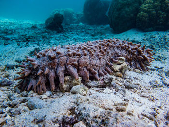 High angle view of sea