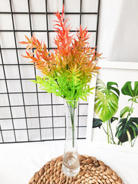 Close-up of potted plant on table at home