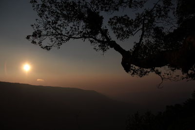 Silhouette tree against sky during sunset