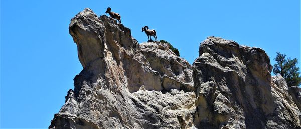 Low angle view of people on rocks against clear blue sky