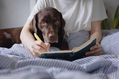 Close-up of dog relaxing on bed at home