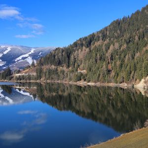 Reflection of trees in lake