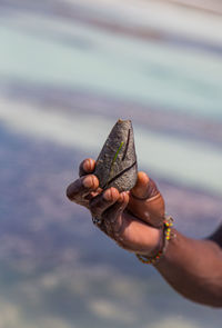 Close-up of hand holding leaf