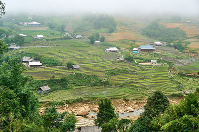 High angle view of agricultural landscape