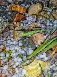 High angle view of stones on rocks