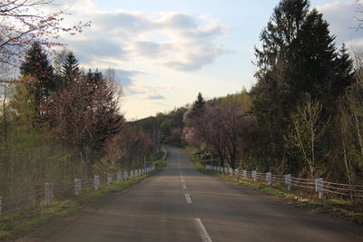 Empty road amidst trees against sky