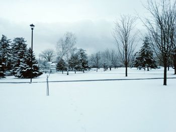 Scenic view of snow covered landscape