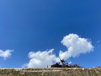 Low angle view of horse on landscape against blue sky