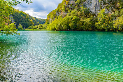 Scenic view of lake by trees against sky