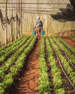 Man working in farm