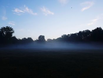 Trees on field against sky