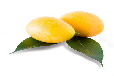 Close-up of fruits and leaves against white background