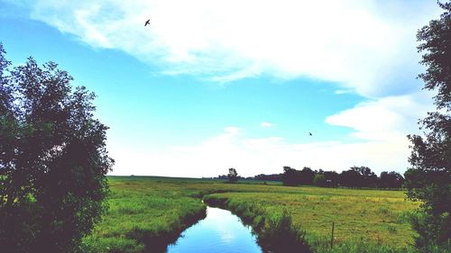 Scenic view of field against sky