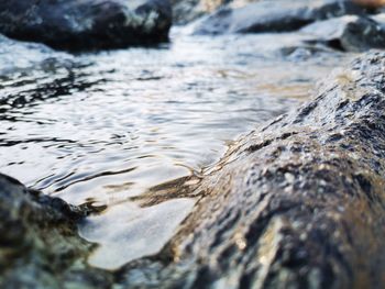 Close-up of water flowing through rocks