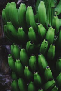 Close-up of green vegetables for sale in market