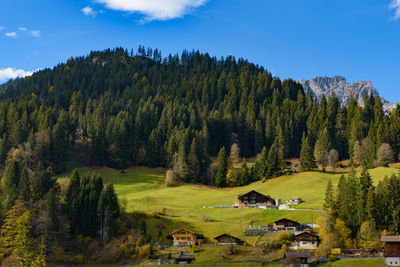 Panoramic shot of trees on landscape against sky