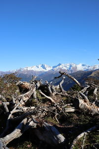 Aerial view of snowcapped mountains against clear blue sky