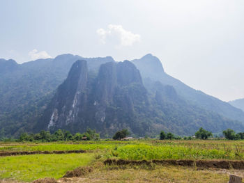 landscape