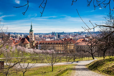 Prague city seen from the petrin gardens at the begining of spring