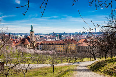 Prague city seen from the petrin gardens at the begining of spring