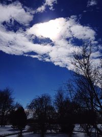 Low angle view of bare trees against sky