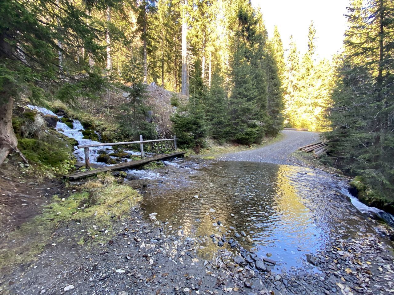 STREAM FLOWING IN FOREST