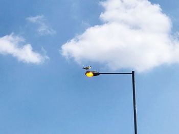 Low angle view of street light against sky