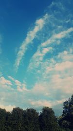 Low angle view of trees against sky
