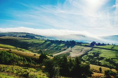 Scenic view of agricultural field against sky