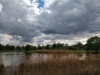 Scenic view of field against sky