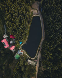 Aerail shot of a beautiful lake covered with trees. tani jubber lake situated in narkanda,