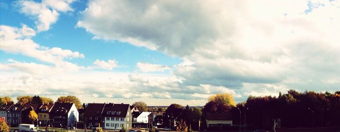 Trees against cloudy sky