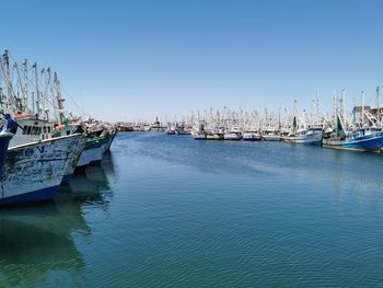 Sailboats moored in harbor