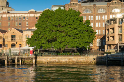 Campbells cove wharf and pier with historic buildings and beautiful green tree. 