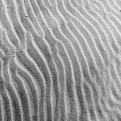 Full frame shot of sand dunes