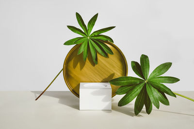 Podium for natural cosmetics,, mockup for showcase with tropical leaf