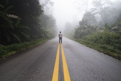 Rear view of man on road amidst trees