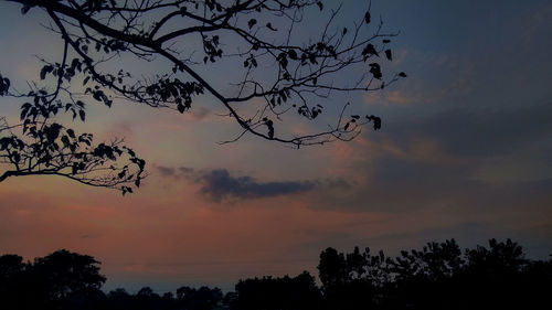 Low angle view of silhouette tree against sky at sunset