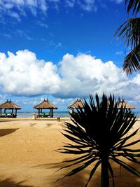 Palm trees on beach against sky