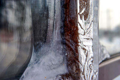 Close-up of icicles on tree trunk during winter
