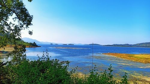 Scenic view of sea against clear blue sky
