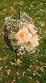 Close-up of white flowering plants on field