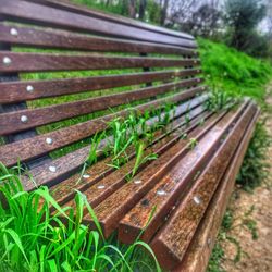 High angle view of wooden bench on field